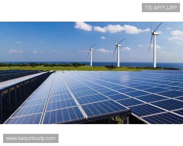 云体育外网在不同地区的访问速度优化策略提升用户的观赛流畅度