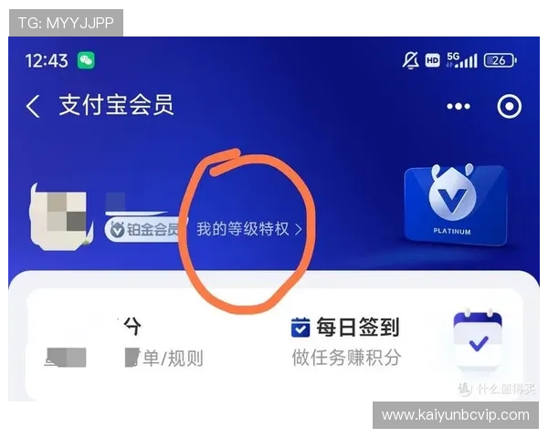 开云官网会员制度详解，享受专属权益和个性化定制服务