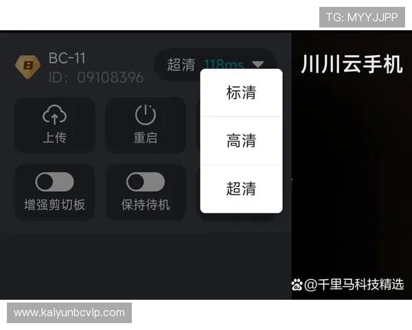 开云手机官网入口注册成功后如何完善个人信息提升游戏体验